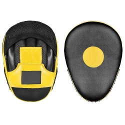 Focus Mitts and Pads