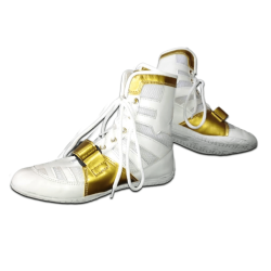Boxing Shoes