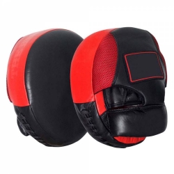 Focus Mitts and Pads