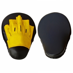 Focus Mitts and Pads