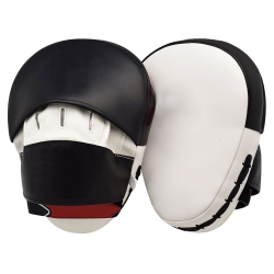 Focus Mitts and Pads